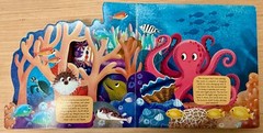 Discovering the Secret World: Coral Reef by Radka Piro