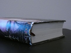Japanese Mystery Novel by Yukito Ayatsuji „Another” 綾辻行人「Another」