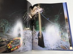 Material World A Global Family Portrait Book Peter Menzel Photography Families