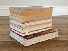 BOYS Chapter Books Lot of 11 ~ 8-12 Years Old – Classroom Library Homeschool