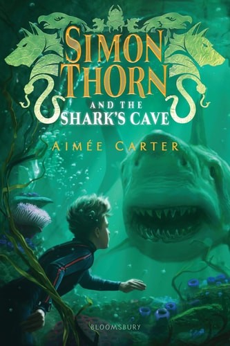 Simon Thorn and the Shark’s Cave by Carter, Aimée, Good Book