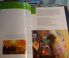 Ganesha – The God Of India, Sunil Vaidyanathan, Bombay 2004