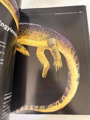 Age of Ancient Sea Monsters (PNSO – Hardcover, by Chuang Zhao; Yang – Good