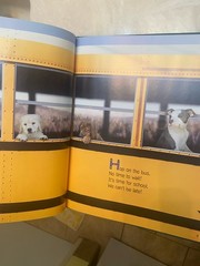 Dog-Gone To School Book( Great Book For Children /Dog Lovers)poem By Amy Schmidt