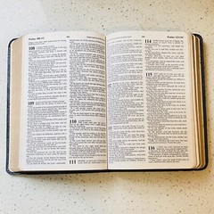 Holy Bible Concordance Red Letter Edition KJV Word Aflame Press 1973 Red Letter