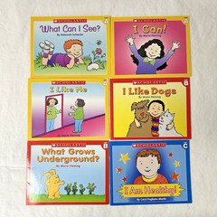 Lot Of 42 First Little Readers, Little Leveled Readers and Bob Books Pre-School+