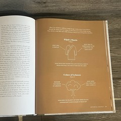 The Bible Study Handbook by The Daily Grace Co. (Hardcover, 2024)