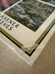 Georgia Gardener’s Guide by Walter Reeves and Erica Glasener (2001, Trade Paperb