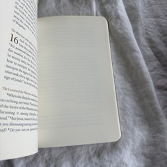 ESV Illuminated Scripture Journal: Matthew by ESV Bibles Paperback NEW