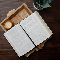 NABRE, New American Bible, Revised Edition, Catholic Bible, Large Print Edition,