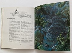 VTG Rand McNally lot 3 Album of Sharks Astronomy Dinosaurs Tom McGowen Rod Ruth