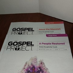 Lifeway Gospel Project Daily Discipline Guide Bible Study Large Print Vol 6 & 7
