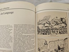 Fossils , Unknown Companions , text by Enrico Annoscia HC/DJ/1981/English