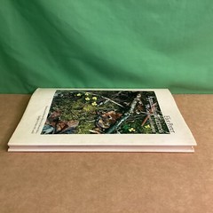 Appalachian Wilderness by Eliot Porter & Edward Abbey (Hardcover)
