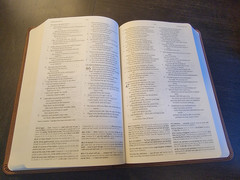 ESV Concise Study Bible(tm) (TruTone, Brown) by Not Available (2021,…