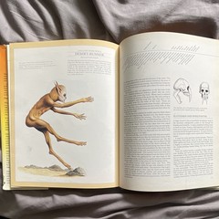 Man After Man:An Anthropology of The Future by Dougal Dixon(First Print) Hardcov