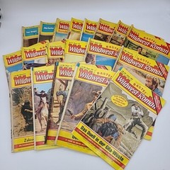 19 BASTEI Wildwest-Roman Western Pulp Fiction German Booklets Books 1960-70’s
