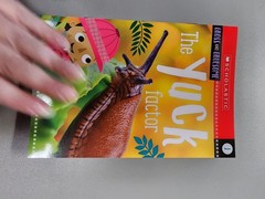 Animal Antics First Grade Reader Box Set: Scholastic Box or Slipcased