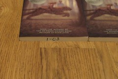 6 THE TIGER RISING Kate DiCamillo GUIDED READING Book Lot