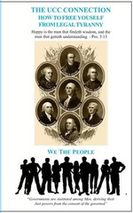 David E. Robinson 3 Books Set: Common Law …, The UCC … & Meet Your Strawman