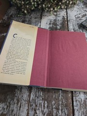 Stephen King, CARRIE, Jim Phiesen Cover Art, Hardcover