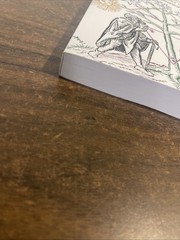 Magic An Occult Primer 50 Year Anniversary Edition 29A