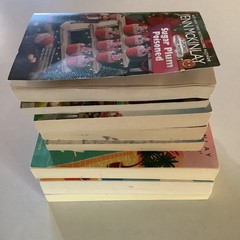 Jenn McKinlay books 3 standalone, 2 Cupcake Bakery Mystery, 3 Bluff Point