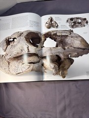Dinosaurs & Prehistoric Life: The Definitive Visual Guide to Prehistoric Animals
