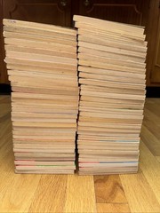 Lot Of 60 Goosebumps Children’s Books R L Stine Horror Thriller Scholastic 1-60