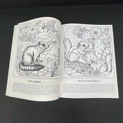 Desert Wildlife of the Southwest Coloring Album Book 1974 Rita Warner Deer Fox
