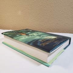 The Lightning Thief Percy Jackson Hardcover OOP Rick Riordan Unclipped Jacket