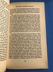 Amazon Healer : The Life and Times of an Urban Shaman / 1992