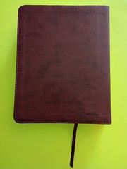 ESV Single Column Journaling Bible (TruTone, Chestnut, Leaves Design) Crossway