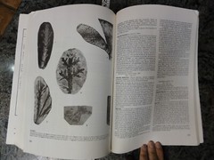 Brazil 1985 Collection of Paleontological Works in Portuguese Many Fossil Photos