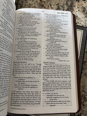 ESV Holy Bible Crossway Classic Thin line Edition Red Letter Tan Bonded Leather