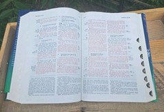 SCARCE! 1995 NASB Ryrie Study Bible Thumb Indexed HCDJ 1995c. USA GOOD+