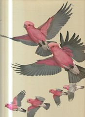 THE WORLD OF BIRDS , GENERAL ORNITHOLOGY by JAMES FISHER & ROGER PETERSON , 1964