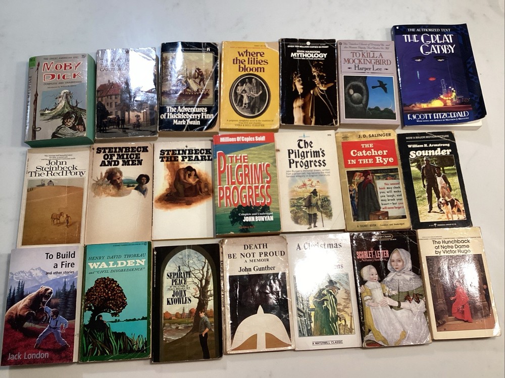 Vintage Paperback Lot of 21 Variety of Famous Authors Classics Fiction