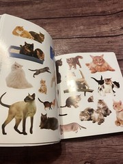Sticker Fun Book of Animals Funfax SEE NOTES