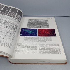 Histology for Pathologists: 3rd Edition 2007 Hardcover by Stacey E. Mills