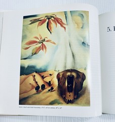 Georgia O Keeffe Art and Life Castro Book with 136 Color Illustrations Edition