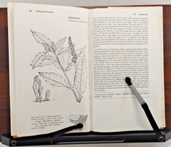 Wild Food Trailguide 1973 HC Alan Hall 2nd Ed Hunting Forage Foraging Guide