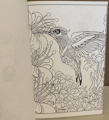 Bendon Adult Coloring Book Coloring Birds 14 Tear and Share Pages NEW