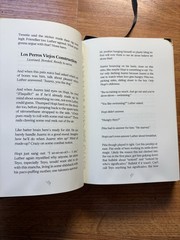 The Familiar, Volume 1: One Rainy Day in May/Mark Z. Danielewski/VERY GOOD FLEXI
