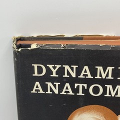 Dynamic Anatomy By Burne Hogarth (1958 Hardcover)