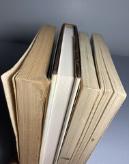 RICHARD BRAUTIGAN Lot 4 Books: Hawkline…PB Willard…HC Sombrero…PB Tokyo…PB