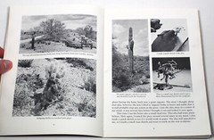 SIGNED + Illustrated Jumping Cholla Keith Christie 1981 1st Ed Bronze Sculpture