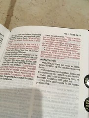 1995 NASB Bible | Black Bonded Leather | Thumb-Indexed NASB Bible