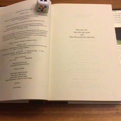 The $ 100 Startup By Chris Guillebeau Hardcover Book First Edition (2012)