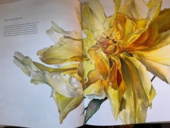 Rosie Sanders’ Roses A Celebration in Botanical Art Hardcover w Dust Jacket VGC!
